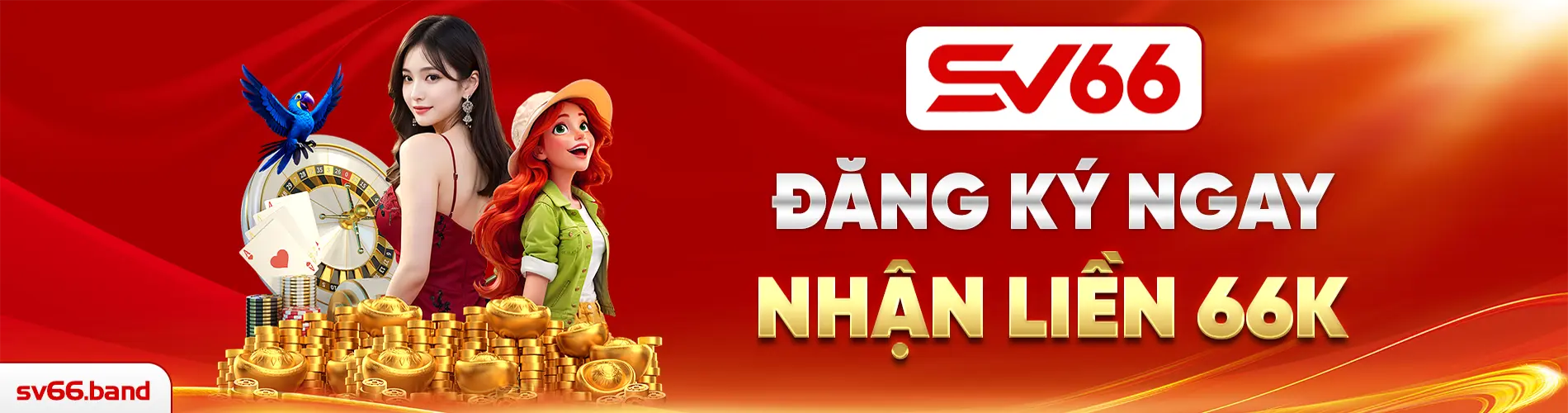 BANNER SV66 3