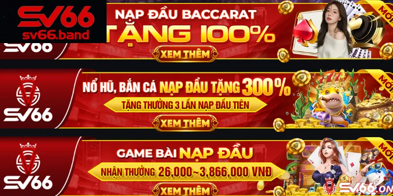 Các câu hỏi về nhà cái sv66