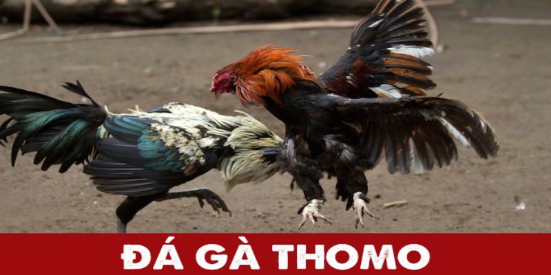 Cách Tìm Ra Phong Cách Chiến Đấu