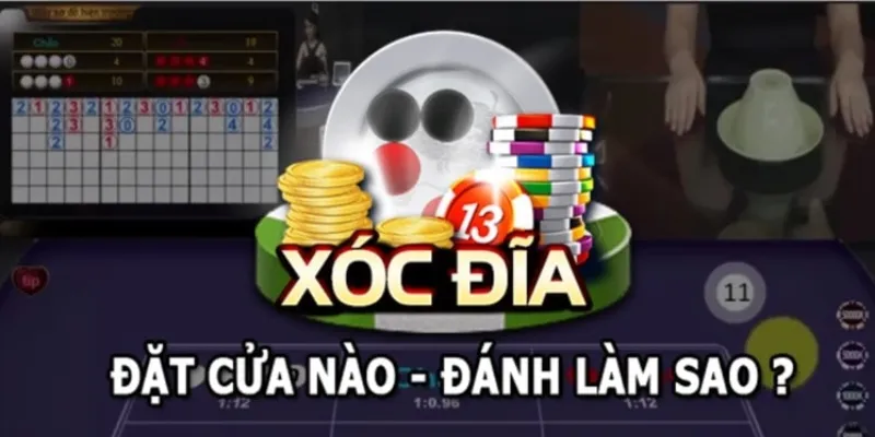 Dự Đoán Kết Quả Xóc Đĩa Dựa Trên Xác Suất